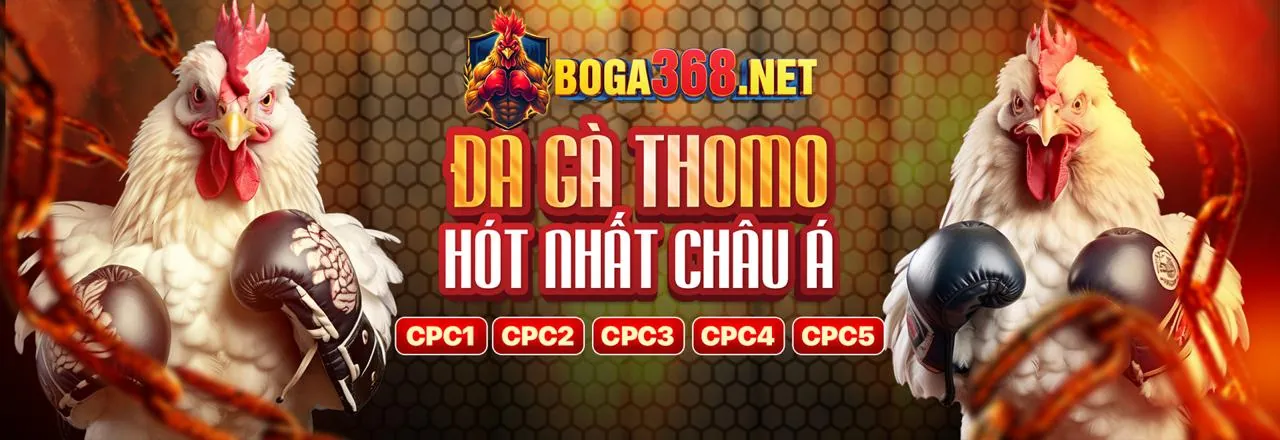 Sòng Bạc Trực Tuyến JN88 Đá Gà Với Ưu Đãi Độc Quyền 2026