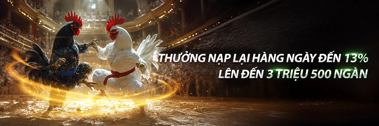 Sân đá gà trực tuyến JN88 với ánh sáng vàng rực rỡ, biểu tượng cho sự thịnh vượng và chiến thắng.